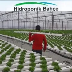Hidroponik Bahçe+905469767001