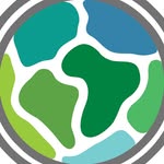 World Rainforest Day