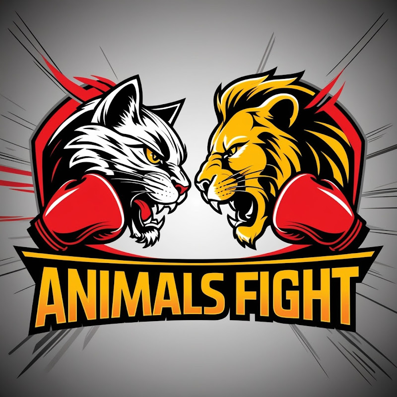 Animals Fight