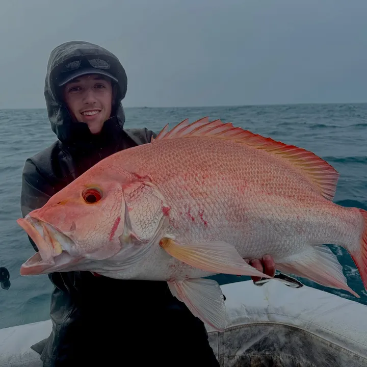 harveypikefish