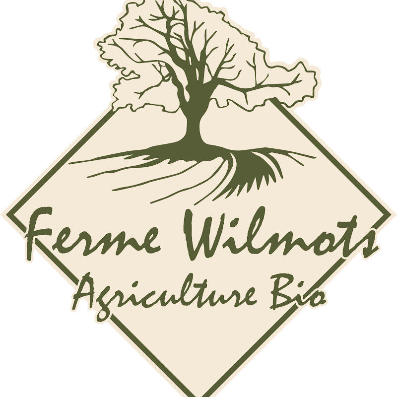 Ferme Wilmots Agriculture Bio