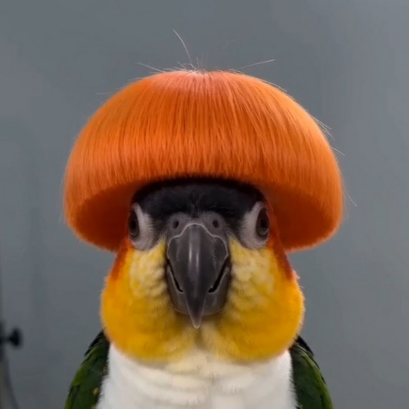 Cute & Fun