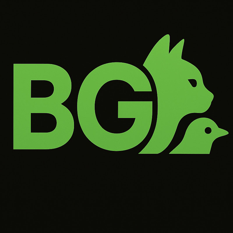 Bold Ground