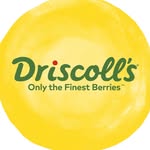 Driscoll's