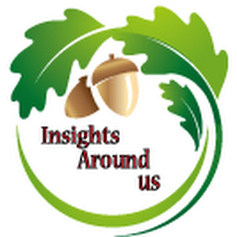 Insights Around us