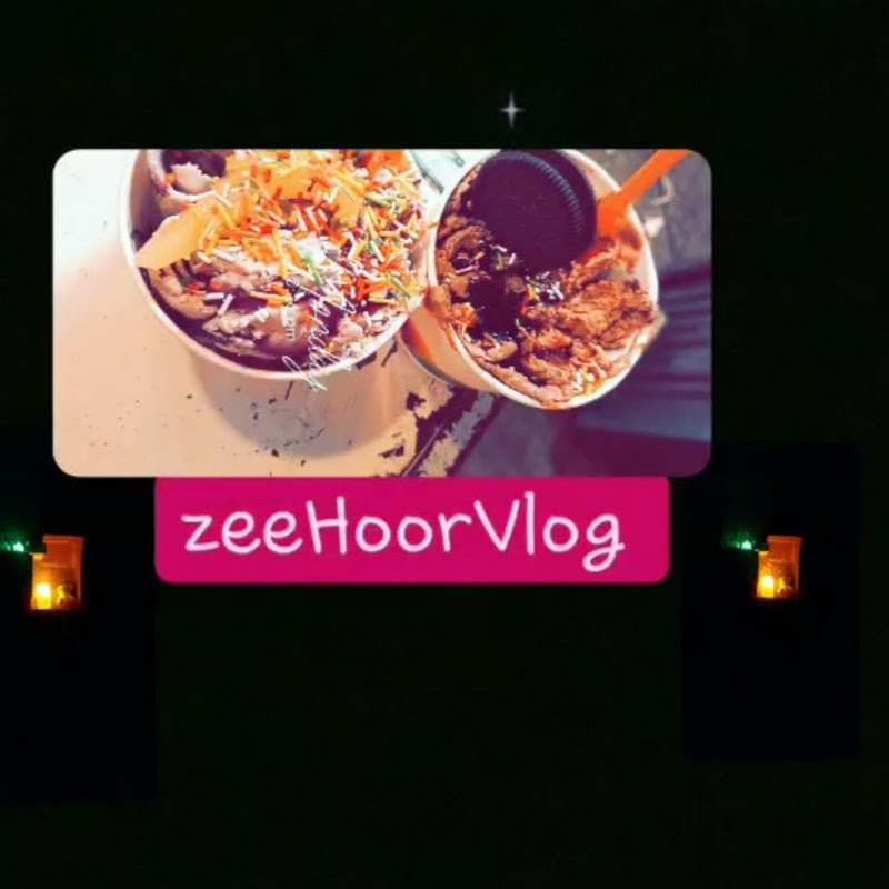 zeeHoorVlog