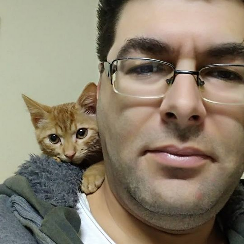 ALBU CATALIN 