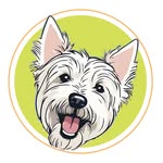 Harvey | Cincinnati Westie