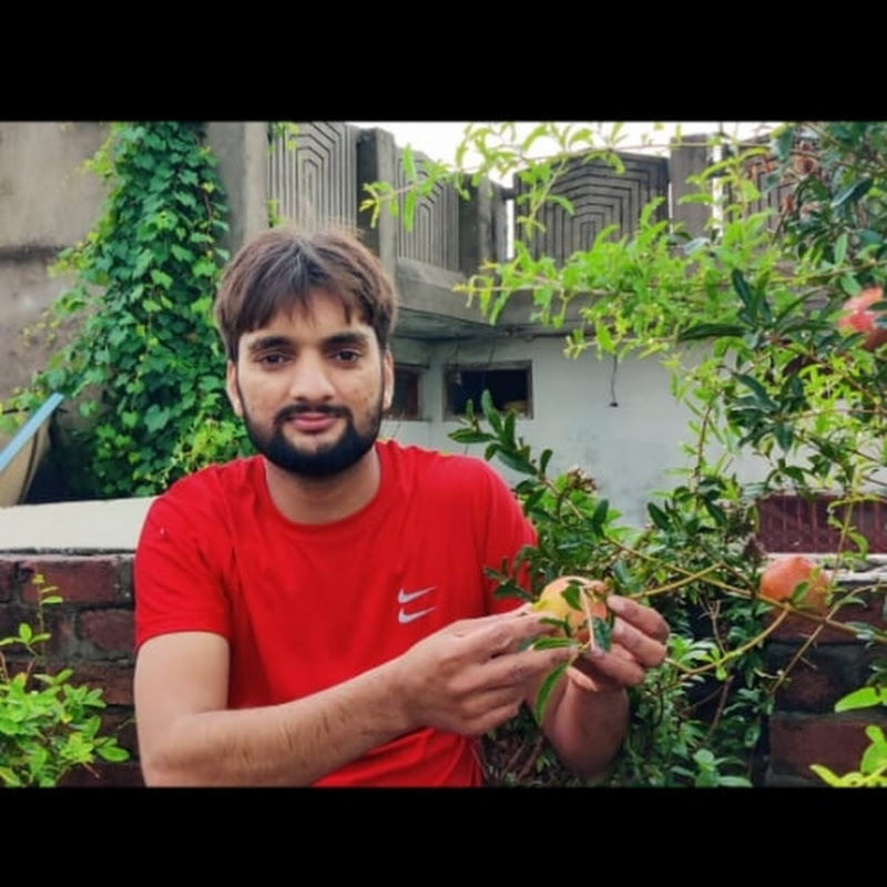 Ghar main zoo 123