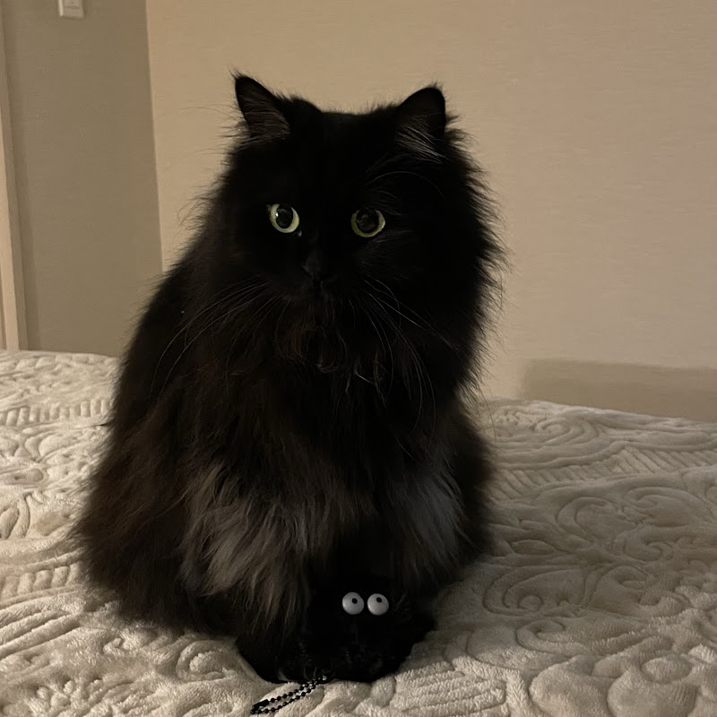 고도철과 아이들