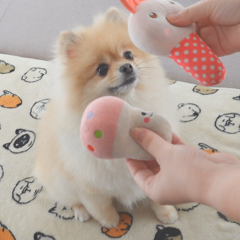 Mochi Moment