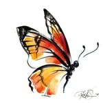 👩🏻‍💻HAVA VirtualAssistance👨🏼‍💻