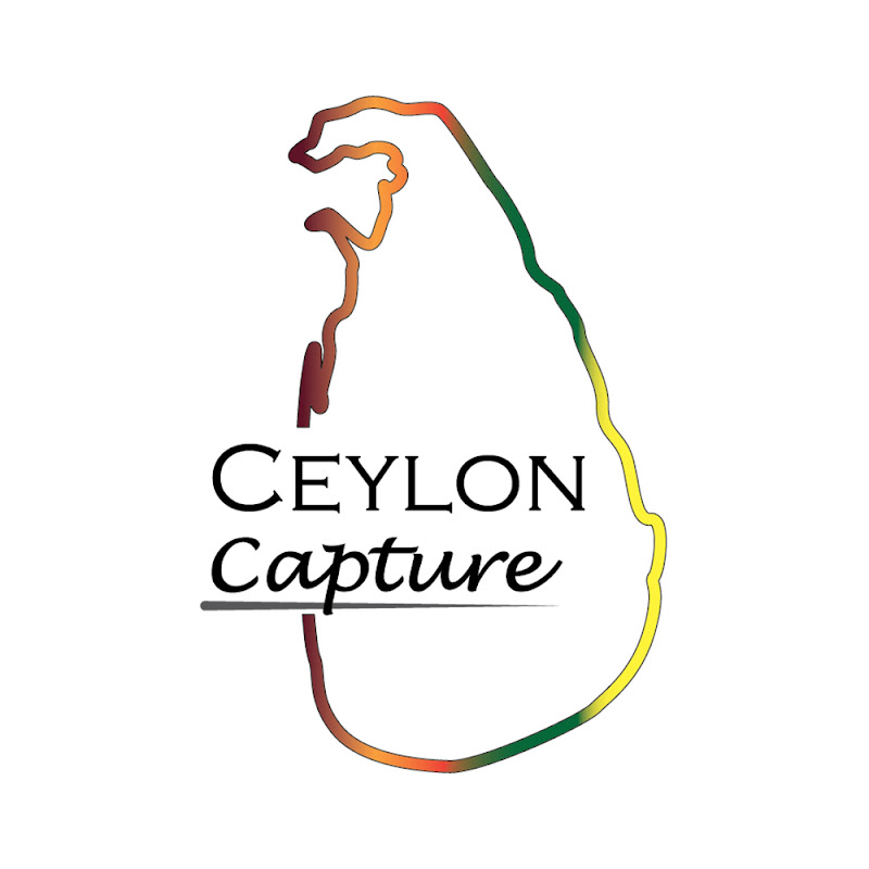 Ceylon Capture