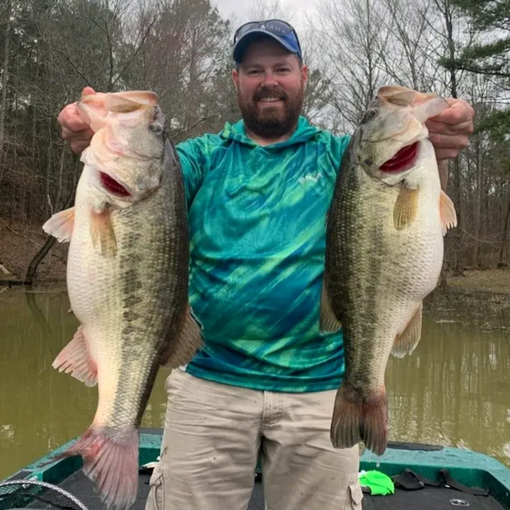 hydrillagorillaguideservice