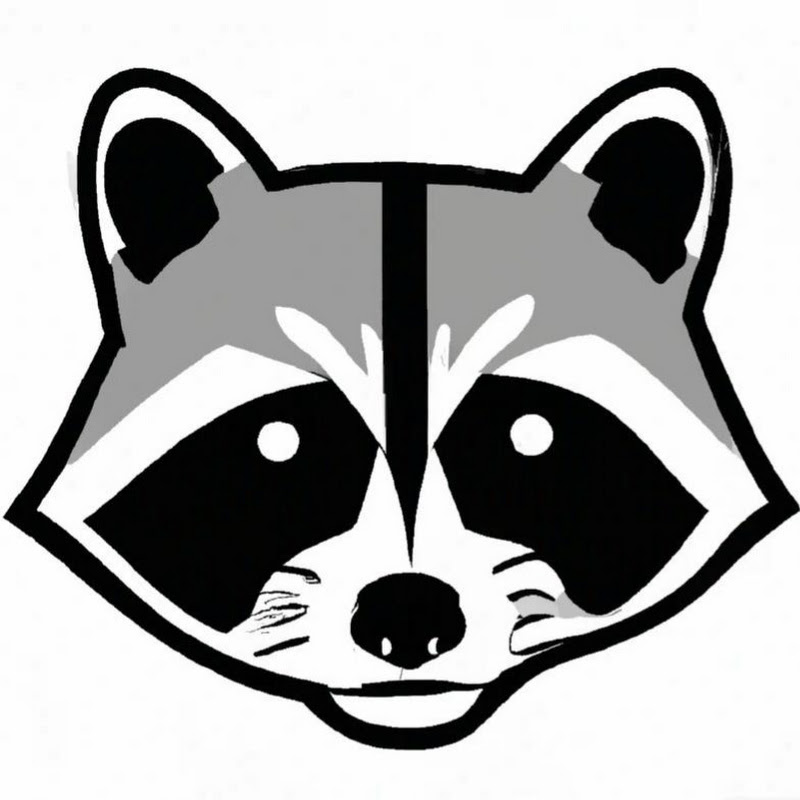 Daily Dose of Raccoons