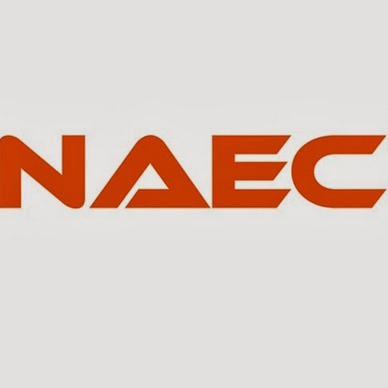 NAEC Nanjing Auto Electric Co., Ltd.