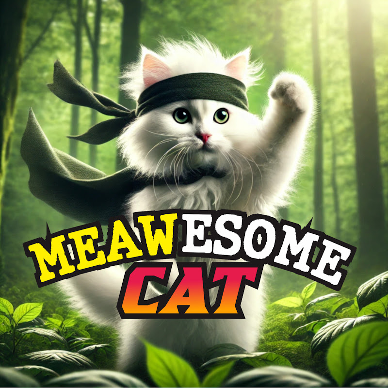 MEAWesome Cat