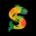 Tom Schamp Illustrator