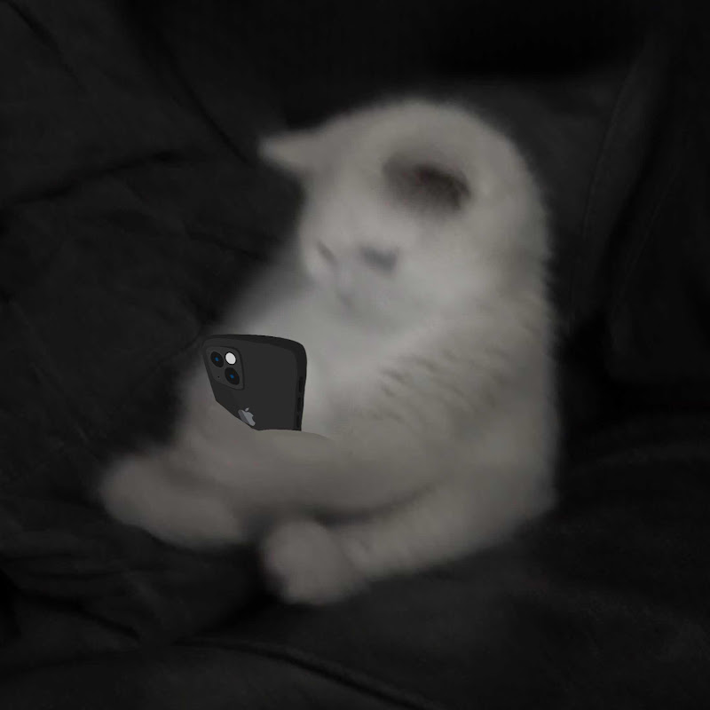 Patrikc