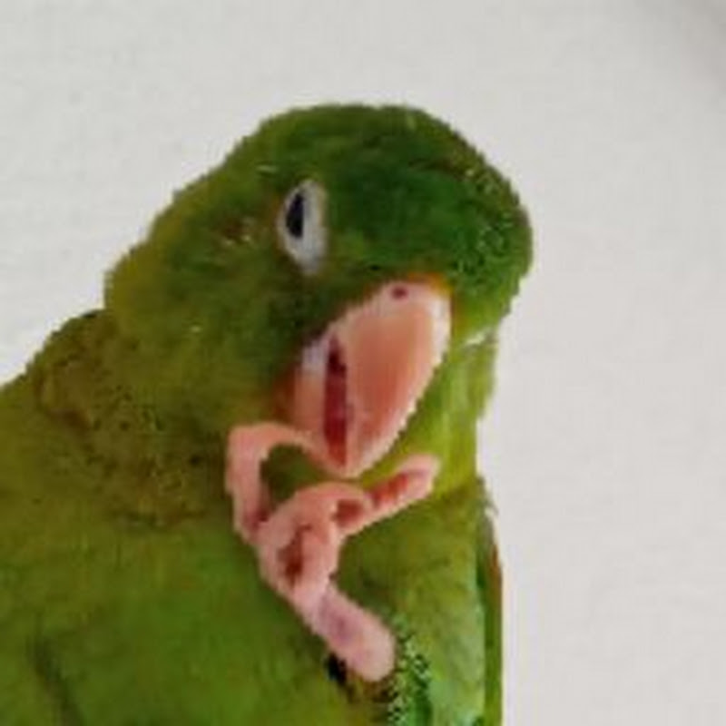 CACO