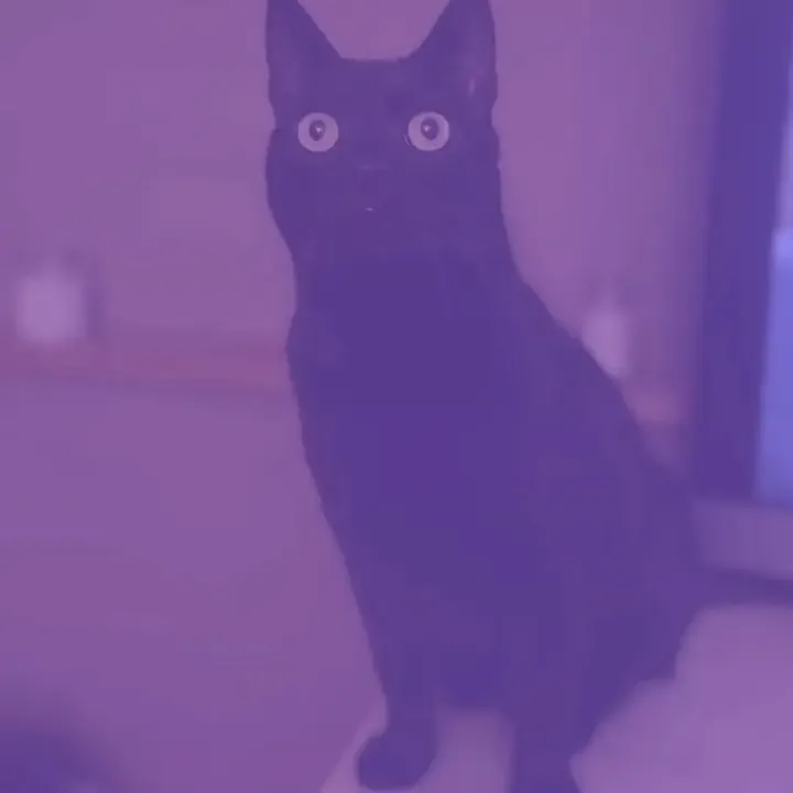 ❄️𝜗𝜚☃️𝑭𝒂𝒛𝒖𝒄𝒉 🐈‍⬛🧊˚꩜｡