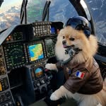 𝙈𝙞𝙡𝙤𝙧𝙙 𝘗𝘰𝘮𝘰𝘧𝘧 𝘊𝘩𝘰𝘴𝘵𝘢𝘤𝘩𝘢𝘱𝘬𝘢 (il va faire froid)