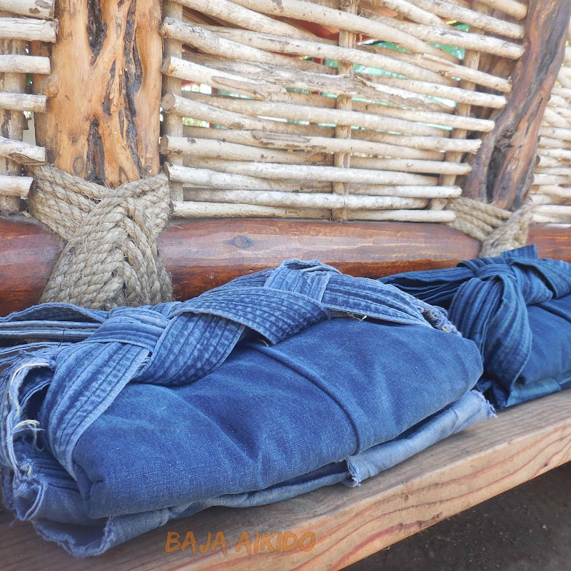 Baja Aikido