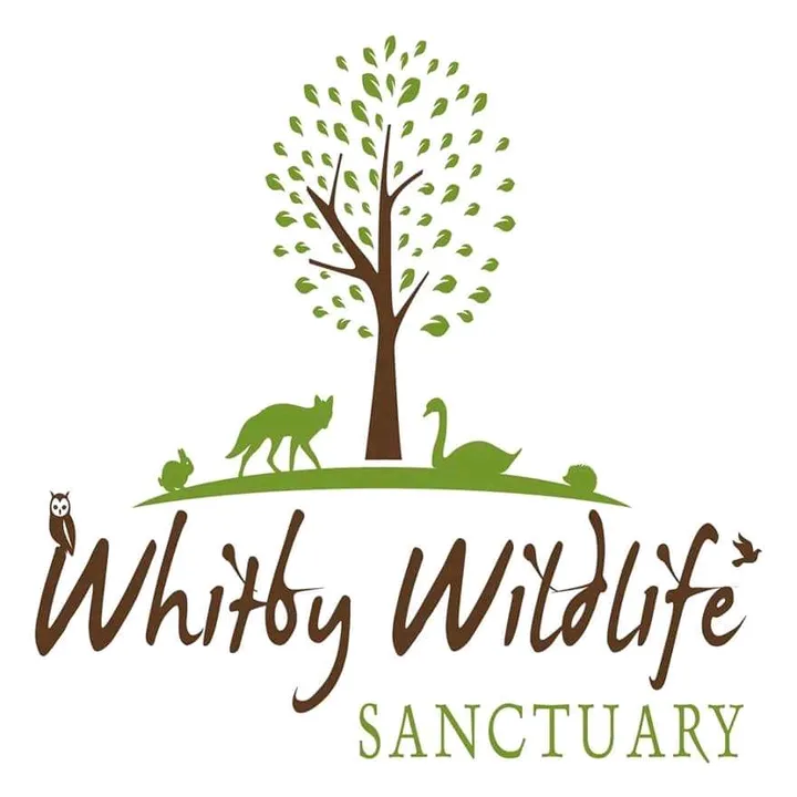 Whitby Wildlife