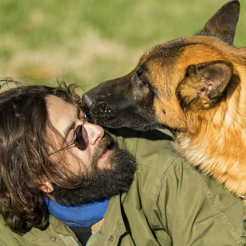 Ergün Turgan ve Köpekleri