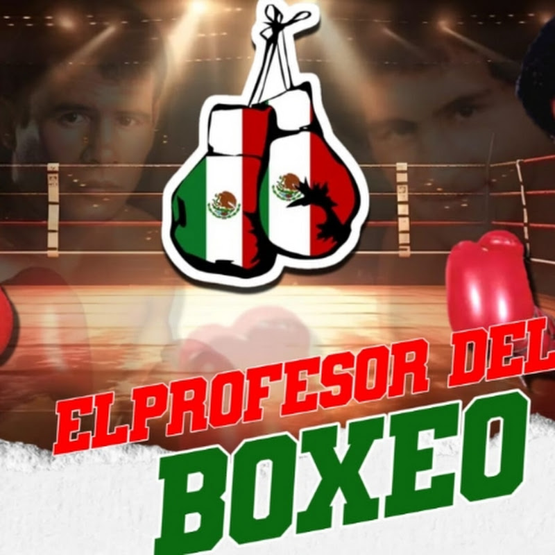 EL PROFESOR DEL BOXEO