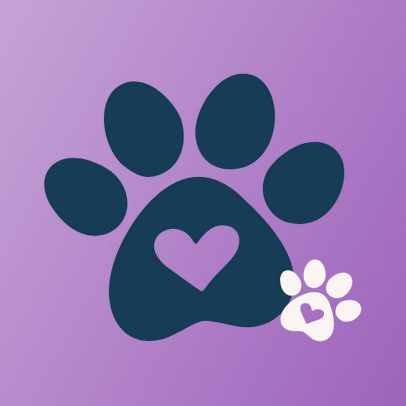 In Animals We Trust