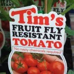 Tim’s Garden Centre