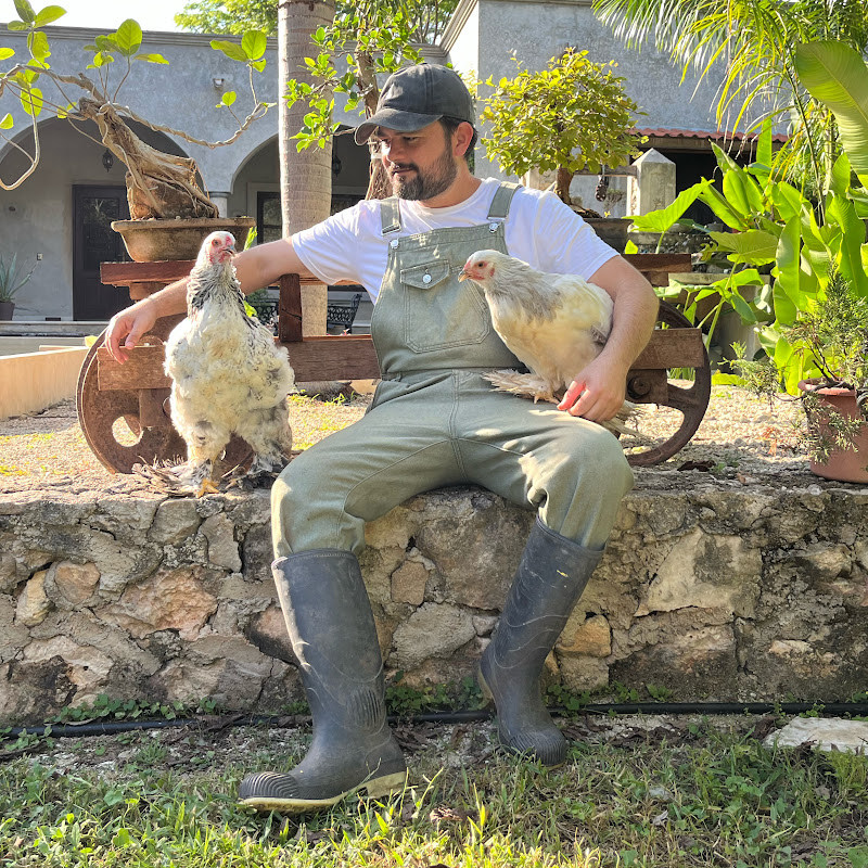 MVZ. Manuel Monforte