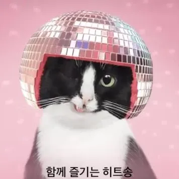 지구탐험가-쥬쥬