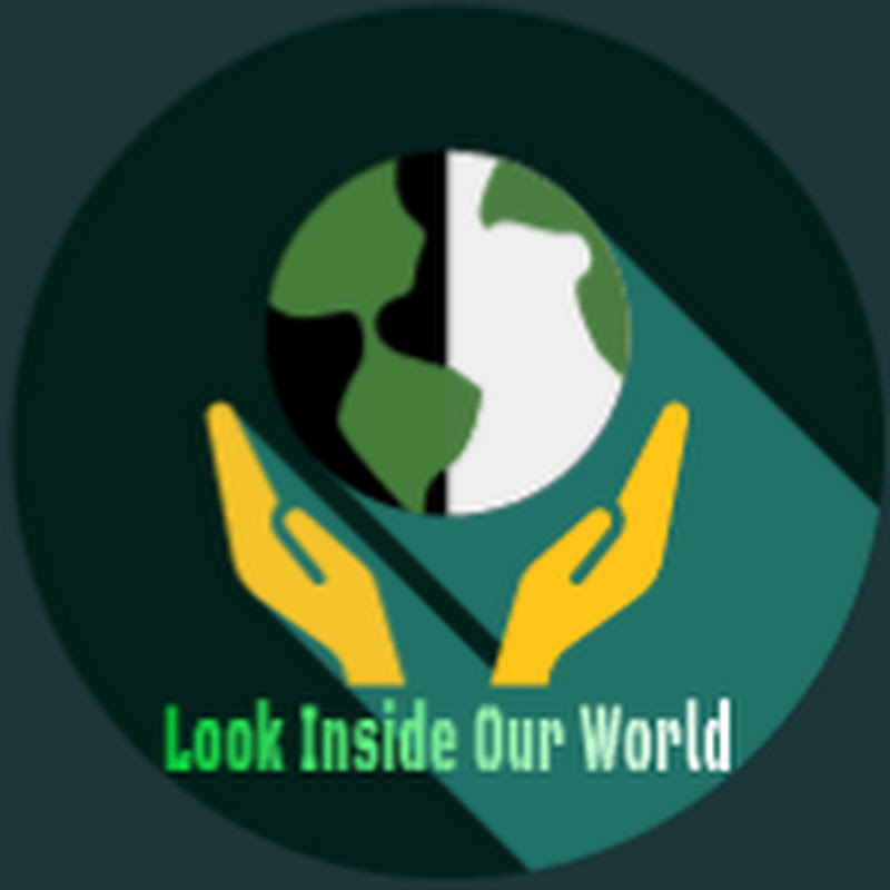 Look Inside Our World 🌍