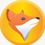 FinancialFox