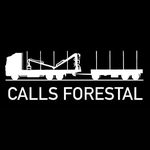 CALLS FORESTAL⚡️