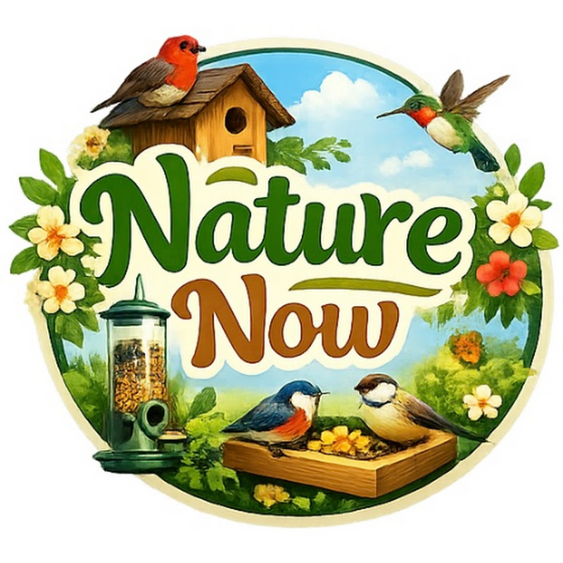 Nature Now
