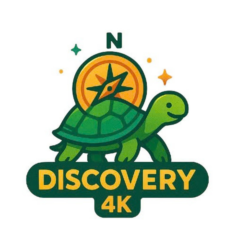 TOP Discovery 4K