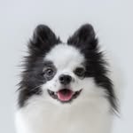 Pom Kkura