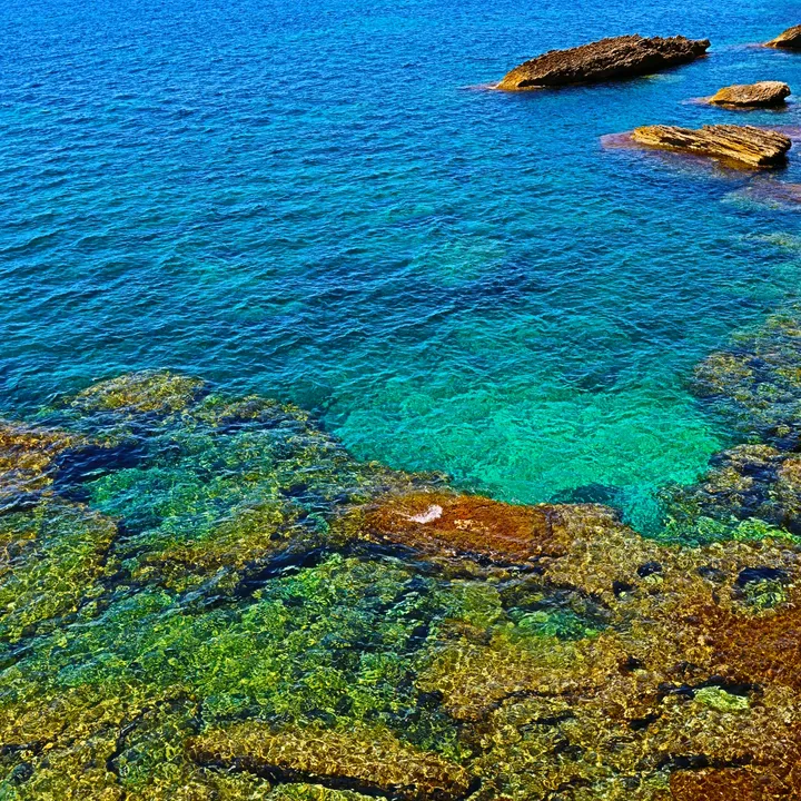 street_objectif_photographer