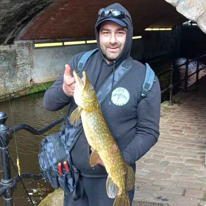 🅹Ⓤ🆂Ⓣ_Ⓓ🅴Ⓝ