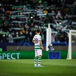 Pedro Gonçalves