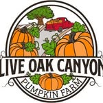 Live Oak Canyon Pumpkin Farm