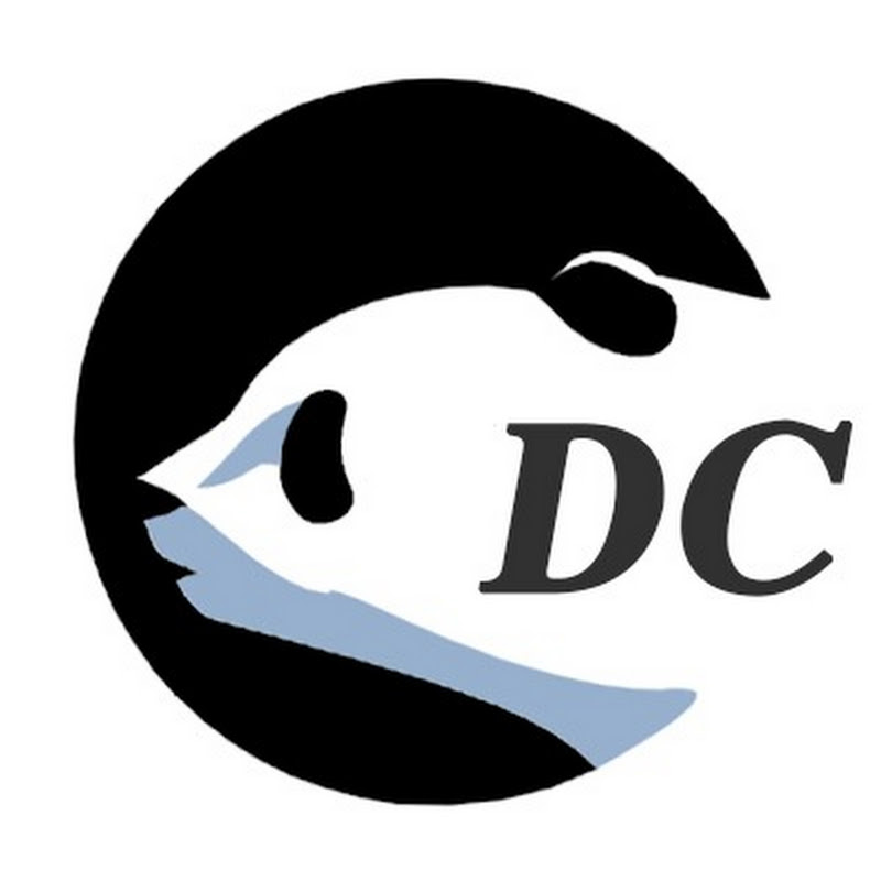 Dynamic China - 動態中國