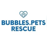 Small Team - Animal rescue organization