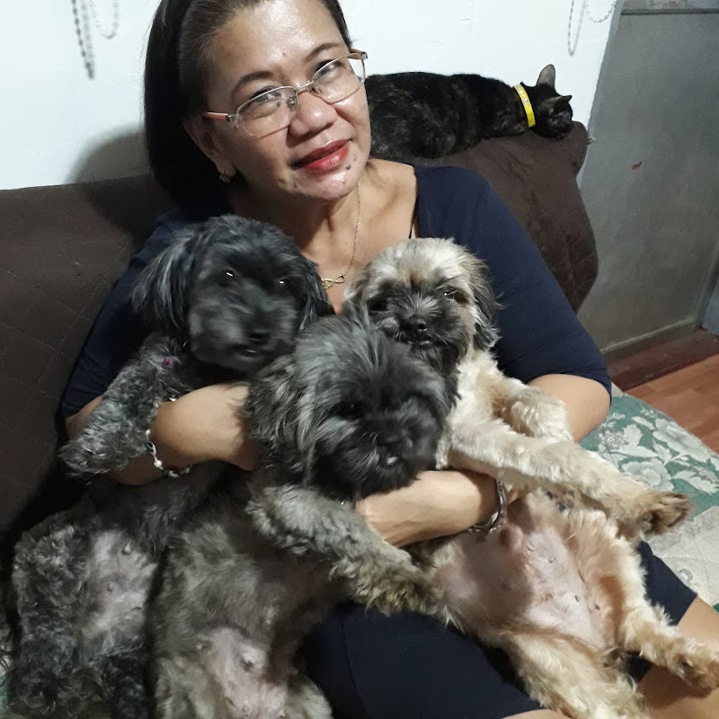 Errocpawsfamily