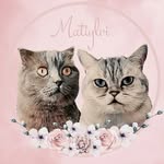 Matilda & Ylvi 🐾