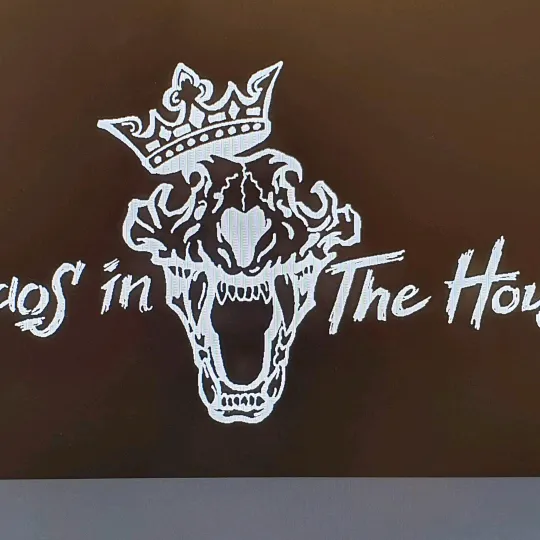 Chaos in The House