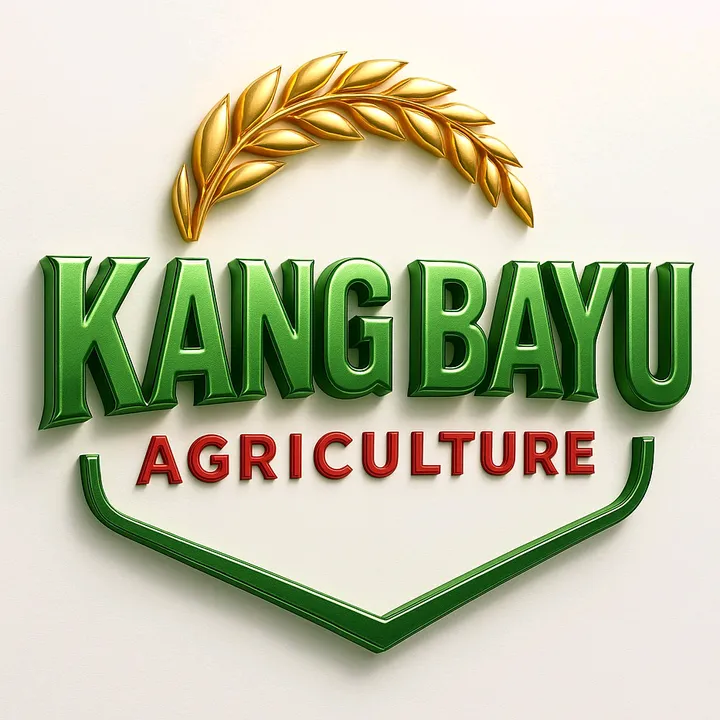 Kang Bayu